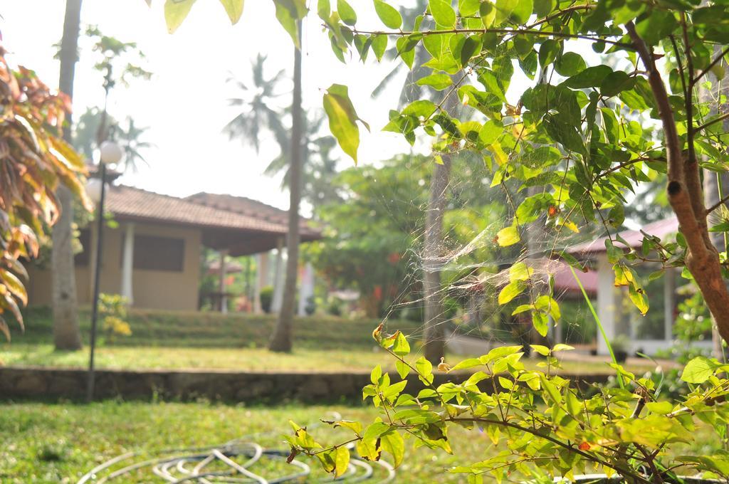 Soba Lanka Holiday Resort Melsiripura エクステリア 写真