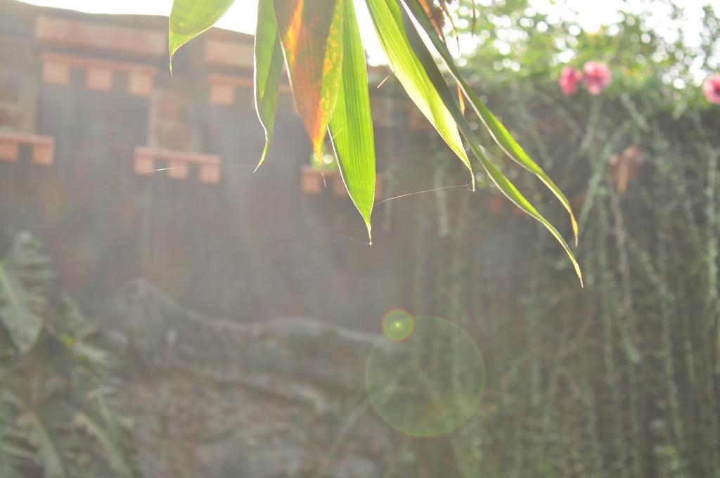 Soba Lanka Holiday Resort Melsiripura エクステリア 写真