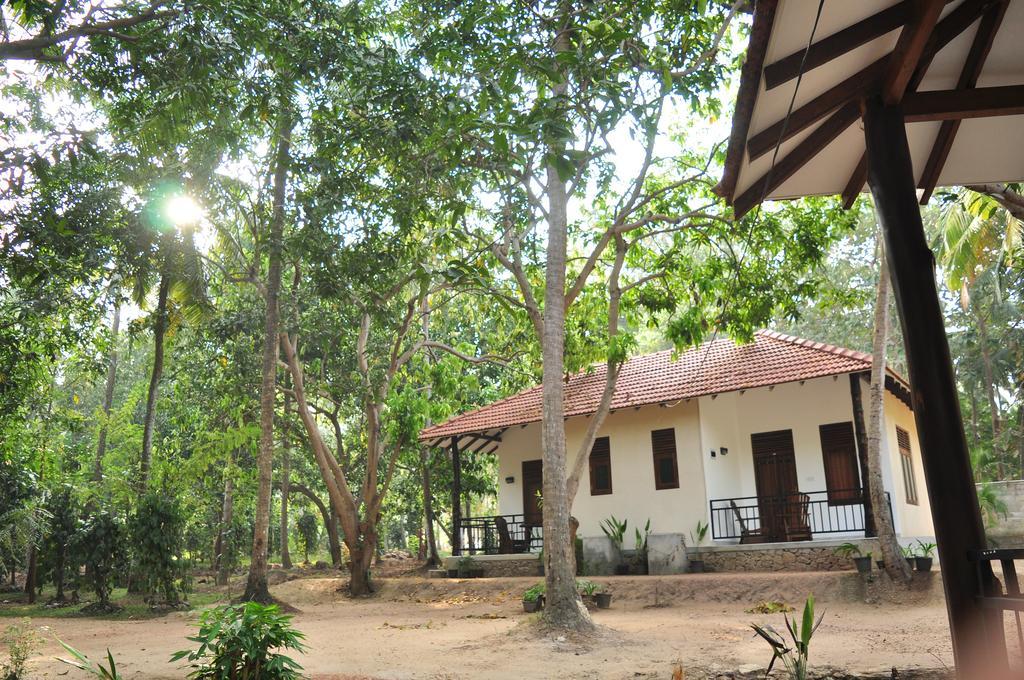 Soba Lanka Holiday Resort Melsiripura エクステリア 写真