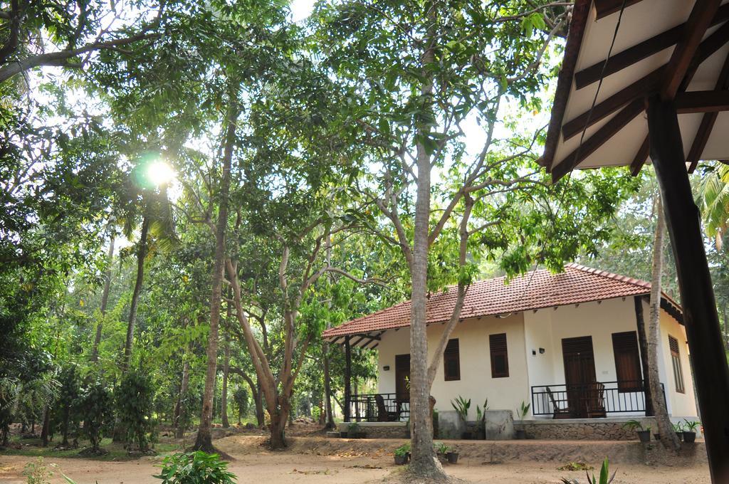Soba Lanka Holiday Resort Melsiripura エクステリア 写真