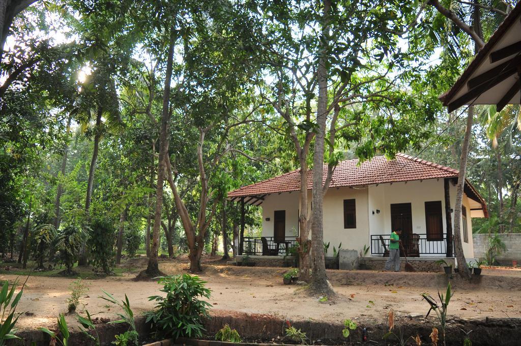 Soba Lanka Holiday Resort Melsiripura エクステリア 写真