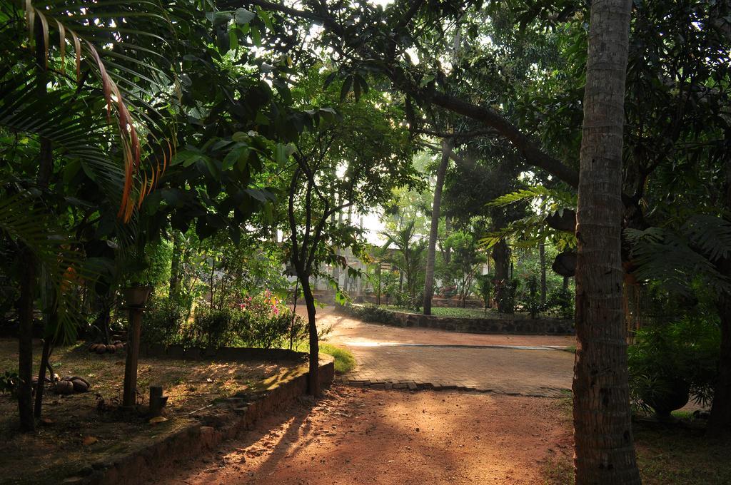 Soba Lanka Holiday Resort Melsiripura エクステリア 写真
