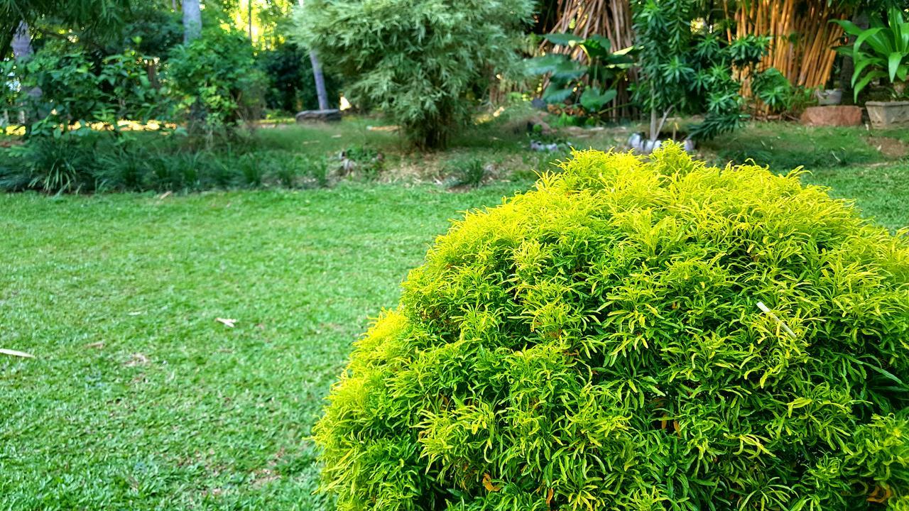 Soba Lanka Holiday Resort Melsiripura エクステリア 写真