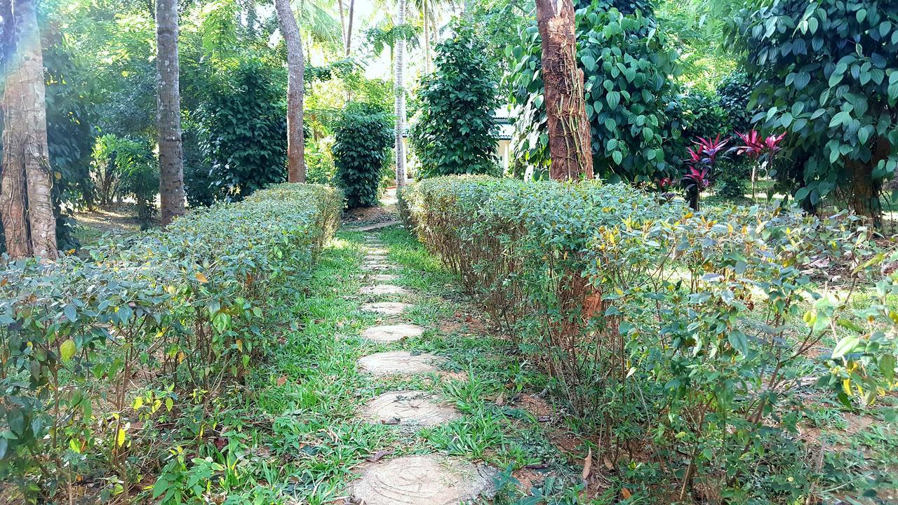Soba Lanka Holiday Resort Melsiripura エクステリア 写真
