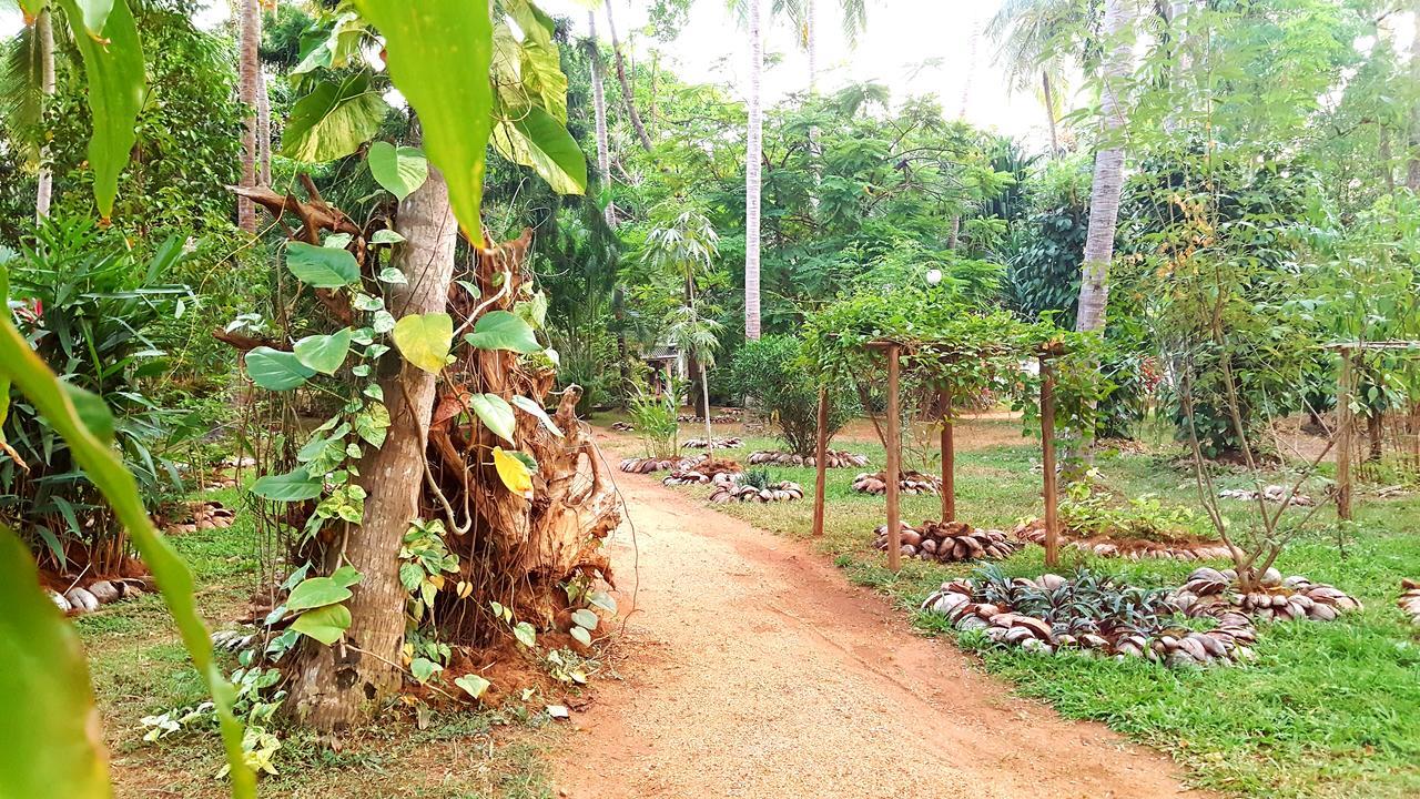 Soba Lanka Holiday Resort Melsiripura エクステリア 写真