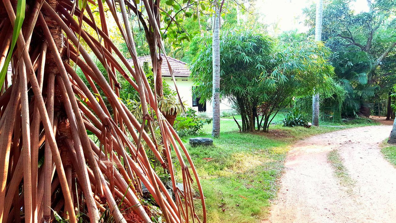 Soba Lanka Holiday Resort Melsiripura エクステリア 写真