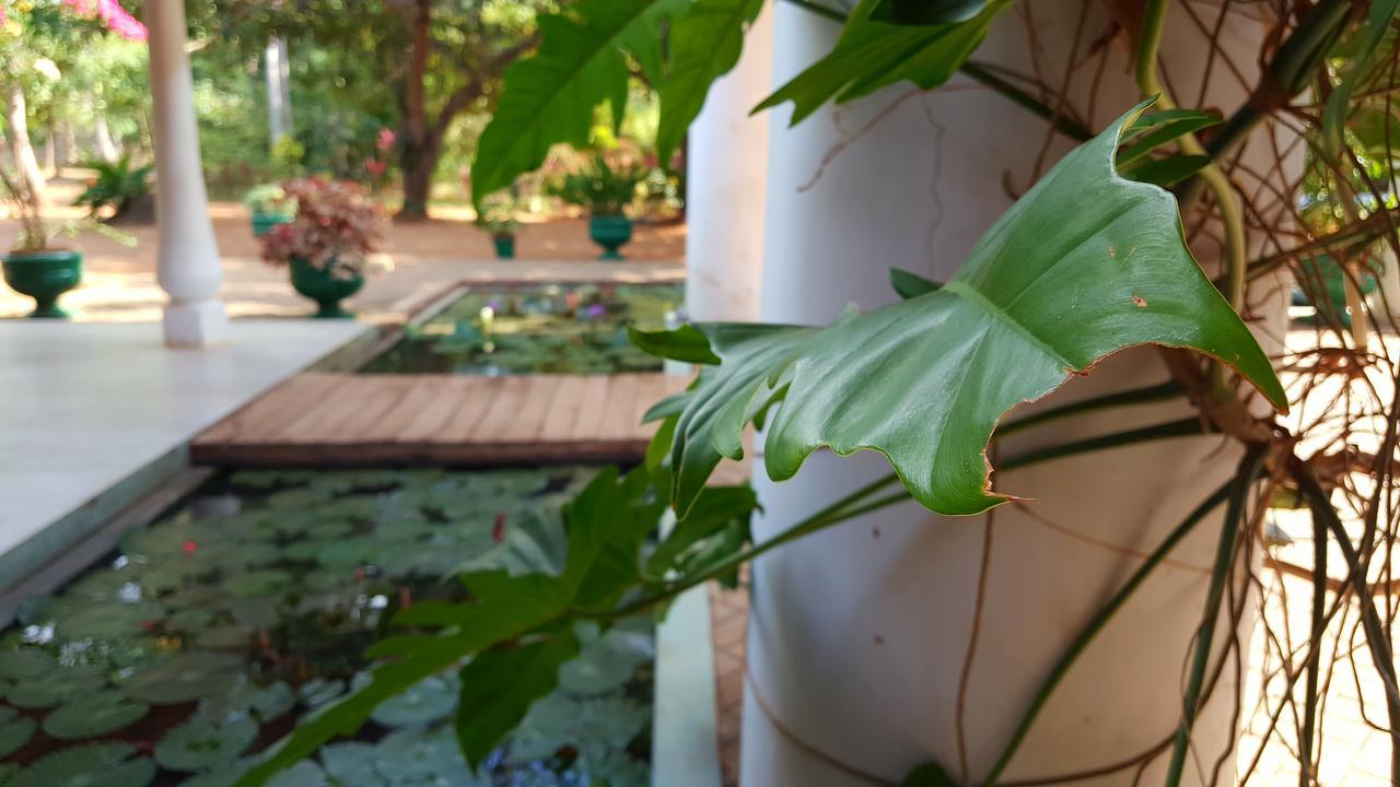 Soba Lanka Holiday Resort Melsiripura エクステリア 写真
