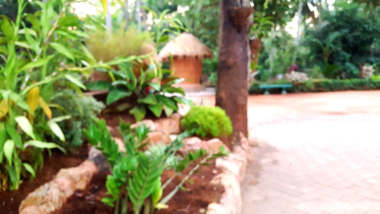 Soba Lanka Holiday Resort Melsiripura エクステリア 写真