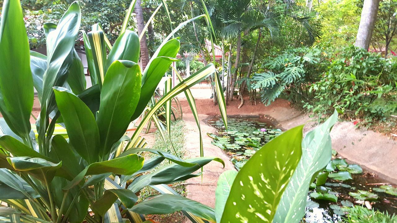 Soba Lanka Holiday Resort Melsiripura エクステリア 写真