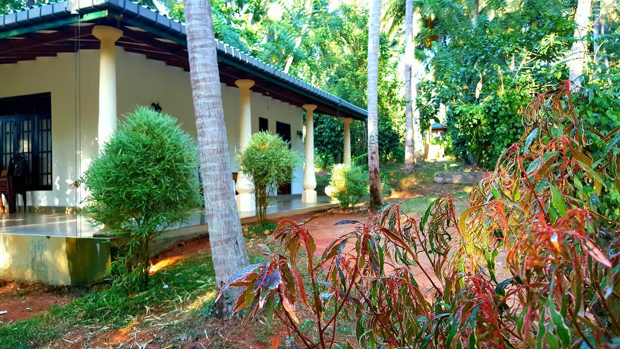 Soba Lanka Holiday Resort Melsiripura エクステリア 写真