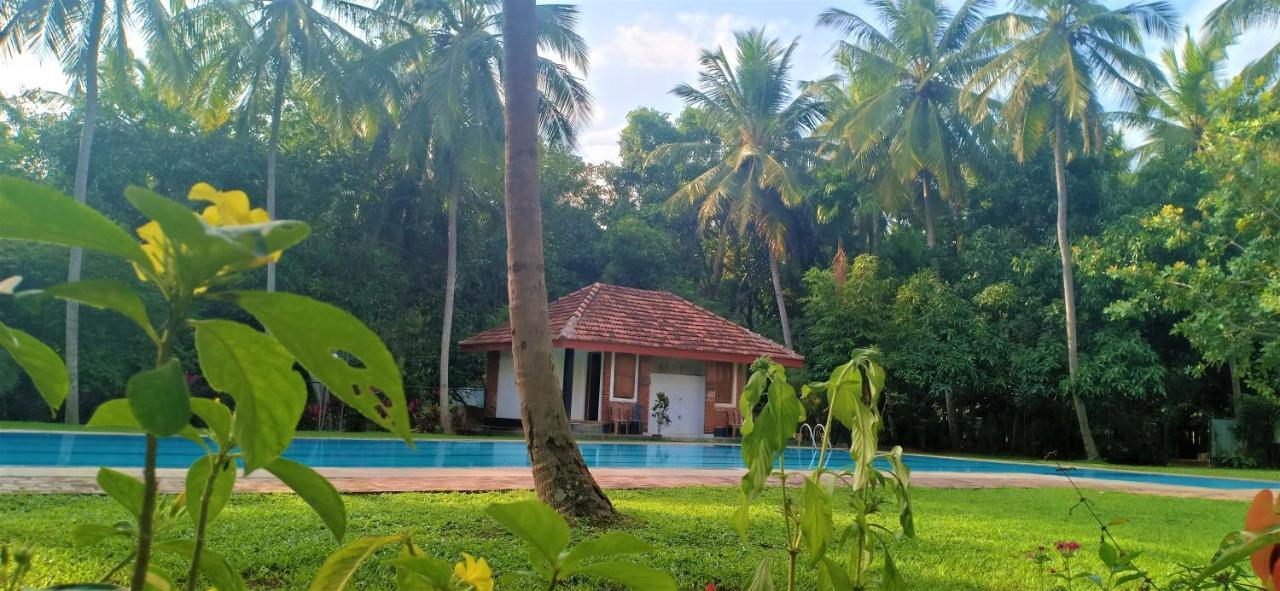 Soba Lanka Holiday Resort Melsiripura エクステリア 写真